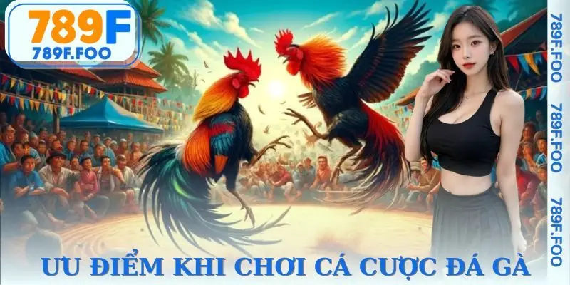 Các ưu điểm dễ nhận thấy khi cá cược đá gà 789F